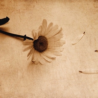 占いって何種類あるの？当たる選び方＆特徴