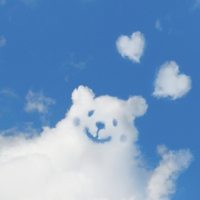 熊が出てくる夢を見た！夢占いの意味