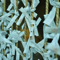 おみくじってどうして結ぶの？理由＆運気が上がる結び方