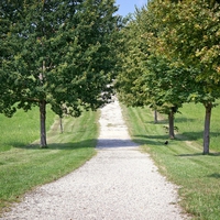 坂道にいる夢を見た！坂道の夢占いの意味