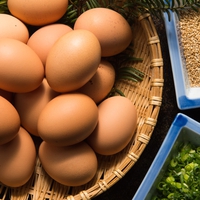 夢に卵がでてきた！卵の夢占いの意味とは？