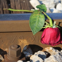 失恋から1ヶ月…立ち直れない理由＆立ち直る方法