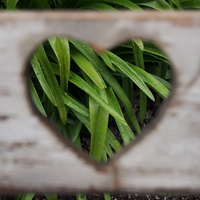 振られた…元彼が忘れられない理由＆忘れられないときの対処法