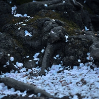 彼氏に振られた…忘れられないのはなぜ？復縁する方法とは