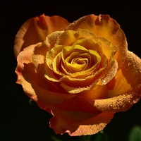 同棲解消した元彼と復縁したい！冷却期間はどのくらい？