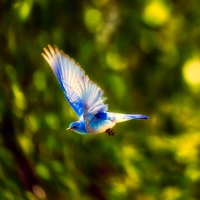 【幸せを長続きさせるコツ付き】復縁するカップルの特徴と共通点