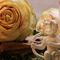 エンジェルナンバー【1717】を見た！恋愛・復縁の意味や関係性とは