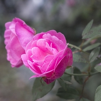 復縁後にうまくいく！彼氏の気持ちを理解して長続きさせる方法