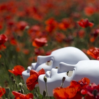 彼氏の浮気が気にならない理由＆気にしなくなる方法