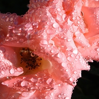 女は浮気を何故するの？女性心理と浮気性の人に共通する特徴