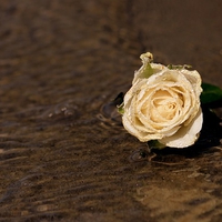 恋人の乗り換えは後悔する？浮気相手を変えるときの注意点