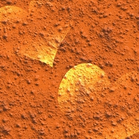 旦那の浮気発覚後は話し合いが必要！内容と注意点