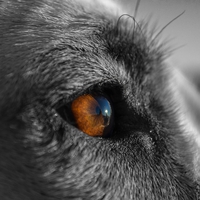 男の浮気は本能って嘘？本当？浮気をされないようにする方法