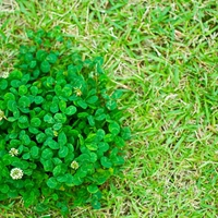 【効果アリ】彼氏・夫の浮気を辞めさせるおまじないまとめ