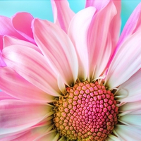 浮気後の夫婦関係で心配なことって？円満に保つ方法