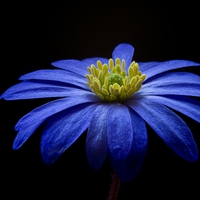 怪しい…旦那の浮気を疑う瞬間と確かめる方法