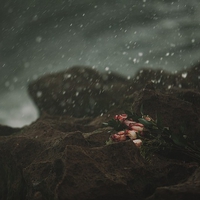 慰謝料は？浮気相手が離婚した後に自分に起こりうるリスク3つ