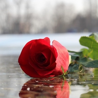 怖い…！男女がW不倫にハマる理由ときっかけ