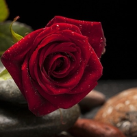 奪いたい！彼女持ちの彼と付き合うための略奪成功法とは？