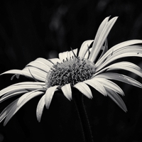 彼氏いるけど気になる人ができた！どうしよう！具体的な対処法とは