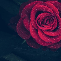 遠距離恋愛の終わりはいつ？別れるかの判断基準とは