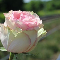 遠距離の片思いが辛い...それでも諦めきれないときにすべきこと