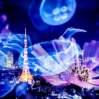 遠距離カップルの入籍のタイミングと入籍後やるべきこと