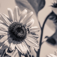 遠距離×年の差カップルって難しい！？長続きする方法とは