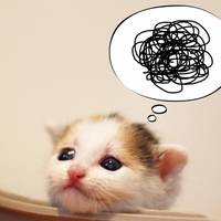 遠距離中に二股をして後悔…対処法＆体験談