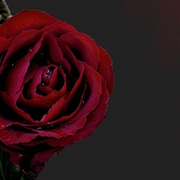 遠距離恋愛は難しい。カップルが別れる理由と原因とは