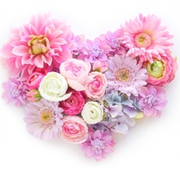 何かこだわるの？結婚記念日の決め方＆注意点