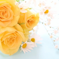 結婚記念日のプレゼントにおすすめの花束＆花言葉