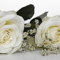 「結婚がいつか気になる...」全国から激選！本当に当たる占い館まとめ