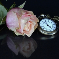 既婚者のデータをもとに解説！結婚までの平均期間ときっかけ