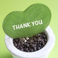 結婚後に愛情が冷めるきっかけ＆冷まさせない方法