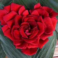 国際結婚ってちょっと不安…幸せになれるかな？