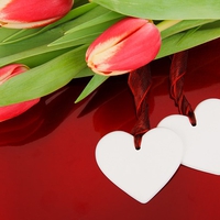 結婚するには何をする？少しでも早く結婚したい女性がすべきこと