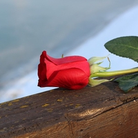 結婚してるのに好きな人ができた…離婚したいけど後悔する？