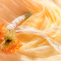 結婚相談所で本当に結婚できるの？メリット・デメリット