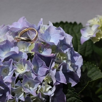 連れ子がいて結婚！後悔した体験談＆幸せになる方法