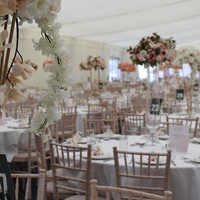 独身だから結婚式に呼ばれるのが辛い！対処法とは…