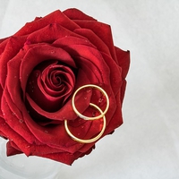 この裏切り者！ぬけがけをして結婚する女性の心理とは