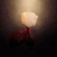 つまらない理由はやっぱり旦那！？結婚生活の厳しい現実4つ