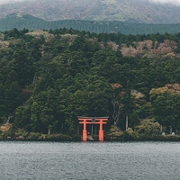 厄払いの効果を得たい！強力なパワーのある神社やアイテムとは？