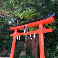 厄年の方は必見！全国にある厄除け祈願におすすめの神社