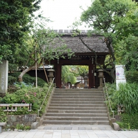 東京で厄除けをするなら【深大寺】へ！おすすめポイントや注意点