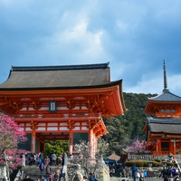 厄年なら行くべき！厄除けでおすすめの有名神社まとめ
