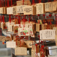 厄除けをするなら【阿佐ヶ谷神宮】へ！おすすめポイントや注意点