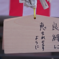 今年こそ恵まれたい！良縁に恵まれる風水とは？